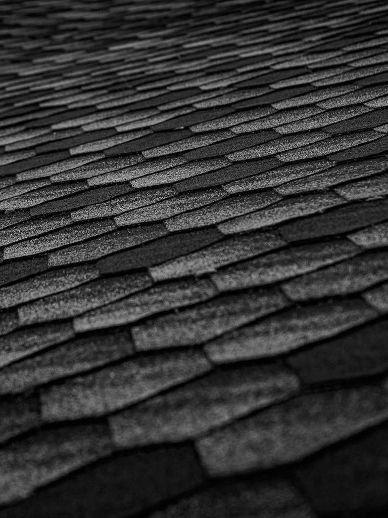 Asphalt shingle roof with heavy black algae streaks before soft-wash treatment
